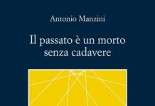 Le indagini di Rocco Schiavone